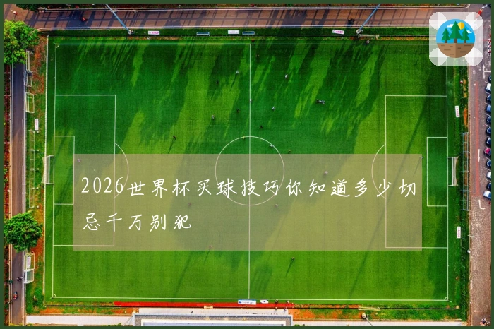 2026世界杯买球技巧你知道多少切忌千万别犯