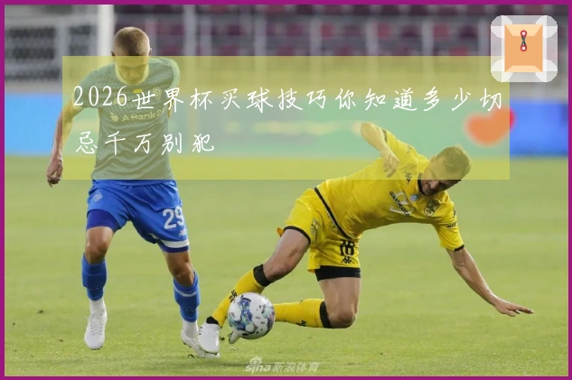 2026世界杯买球技巧你知道多少切忌千万别犯