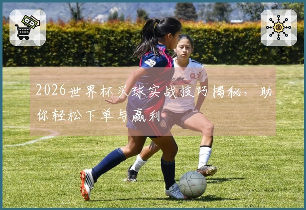 2026世界杯买球实战技巧揭秘，助你轻松下单与赢利